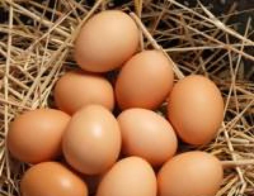Покупать куриное белое яйцо сонник. Что означает видеть во сне яйца куриные