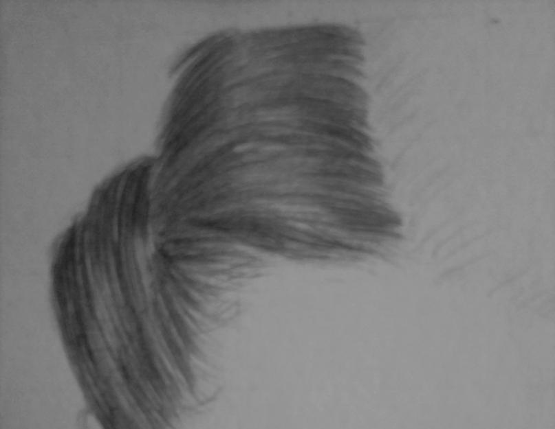 كيف يمكنني رسم الشعر بقلم رصاص ليوم واحد.  كيفية رسم الشعر المموج: ارسم الشعر بقلم رصاص خطوة بخطوة