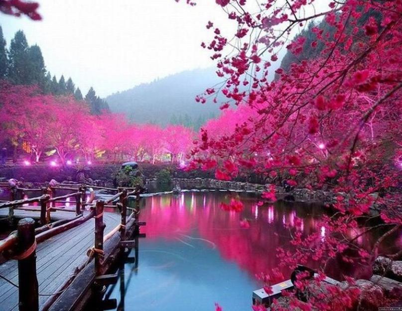 الإعجاب بجمال الطبيعة.  دروس في الإعجاب بجمال الطبيعة في اليابان.  العلاقة الجمالية بين البشر والكون موجودة ، بالطبع ، منذ العصور القديمة.