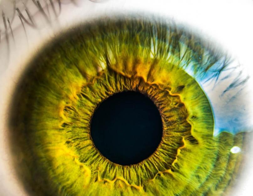लोक उपचार व्यंजनों के साथ दृष्टि कैसे बहाल करें।  दृष्टि के लिए लोक उपचार।  सूजन और संक्रामक नेत्र रोग