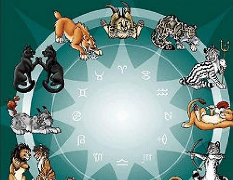 Viskas apie zodiako ženklą Avinas!  Talismanai Avino ženklui.  Tinkamiausi Avino partneriai