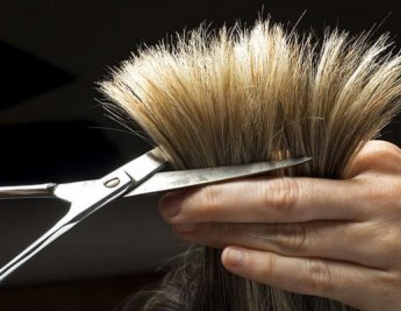 لماذا تقصف الشعر.  علاج تقصف الأطراف في المنزل.  منتجات العناية الصناعية وقواعد استخدامها