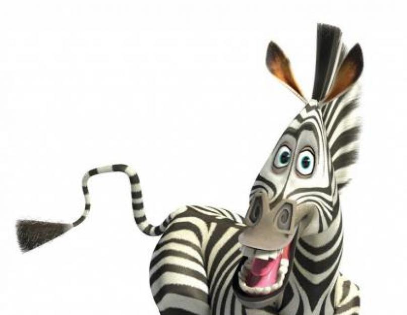 Madagaszkár állatai.  Madagaszkár állatainak leírása és jellemzői.  Mi a neve a madagaszkári zebrának és a rajzfilm többi főszereplőjének?