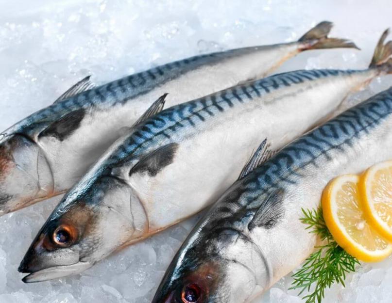 سمك الماكريل الأزرق والماكريل: كيف يختلفان في الذوق والطهي؟  ما هو اسم سمكة تشبه الماكريل ولكنها أكبر وأقل دهونًا: الاسم.  أسماك الماكريل ، كيف تختلف عن الماكريل
