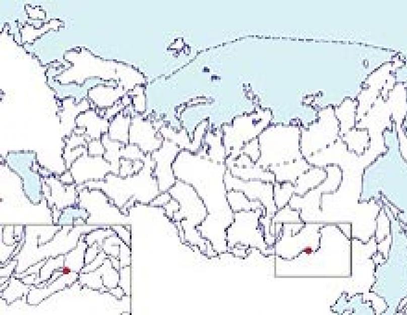 Alakol'un kalıntı kuşları.  Transbaikalia Ansiklopedisi.  Bir kalıntı martının dış belirtileri