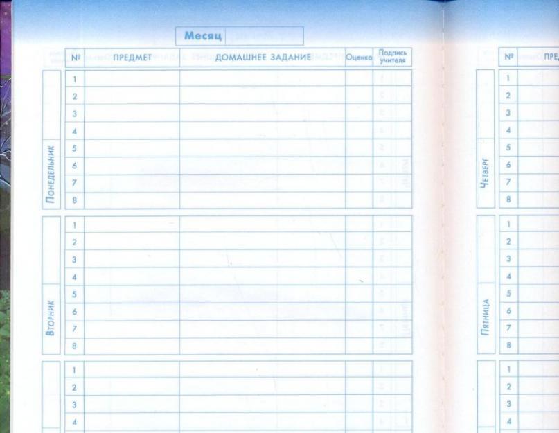 Изготовление школьных дневников на заказ. Печать аналога бумажного журнала (полная версия печати журналов)