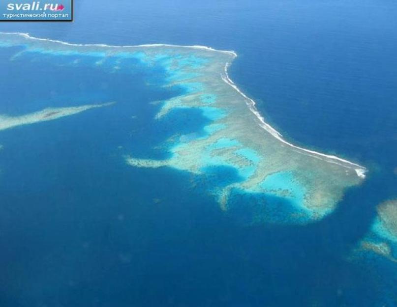 Kaip formuojasi koralų salos, projekto išvada.  Kaip susidaro koralai ir kur jie gyvena?  Kaip susidaro koralų salos?