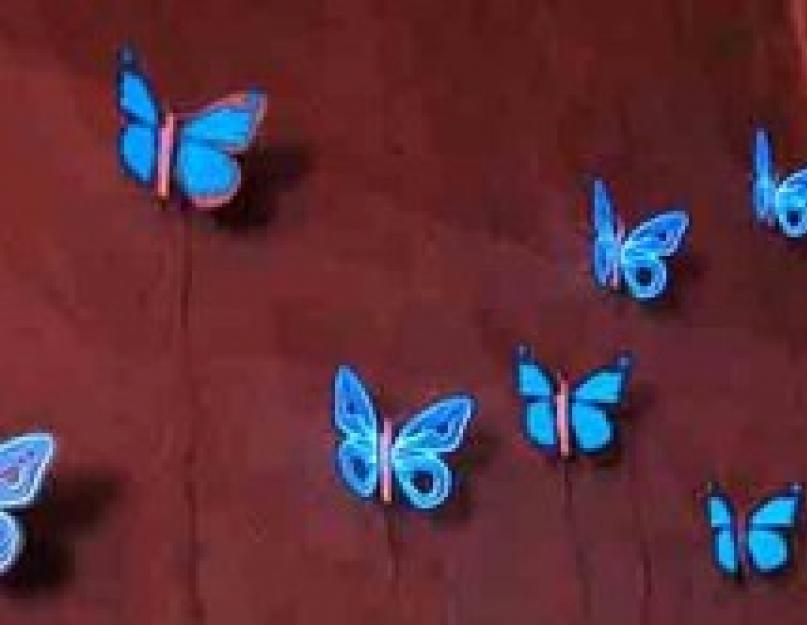 Значение бабочки по фен-шуй. Символы и талисманы фен-шуй