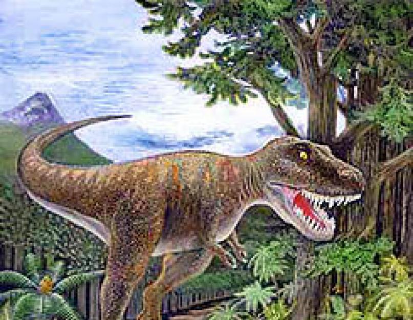 Tyrannosaurus rex - أكبر ديناصور مفترس: وصف بالصور والفيديو.  الزواحف القديمة الأخرى كل شيء عن ديناصور ريكس