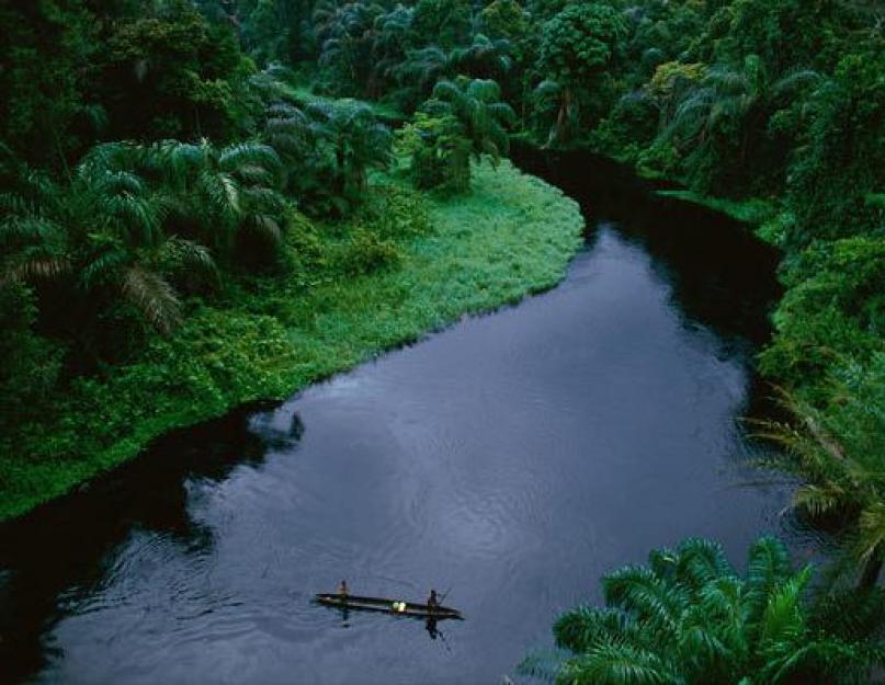 نهر الكونغو في أفريقيا هو أعمق نهر في العالم.  الوصف والخصائص والصور والفيديو.  نهر الكونغو هو أعمق شريان مائي على وجه الأرض. موقع منبع نهر الكونغو