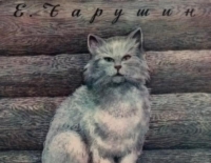 चारुशिन ई। आई। जानवरों की दुनिया के बारे में कलात्मक कार्य।  टैकल के साथ एक मछुआरा और एक हुक के साथ एक मछली पकड़ने वाली छड़ी, और एपिफान बिल्ली पंजे के साथ चारुशिन एपिफान बिल्ली काम का मुख्य विचार है