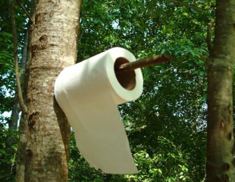 Порівняння туалетного паперу всіх виробників.  Як вибрати туалетний папір?  Папір туалетний «Lambi»