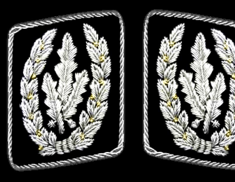 صفوف Waffen SS.  الرتب والمناصب العسكرية