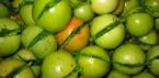 Как да готвя зелени домати, пълнени за зимата