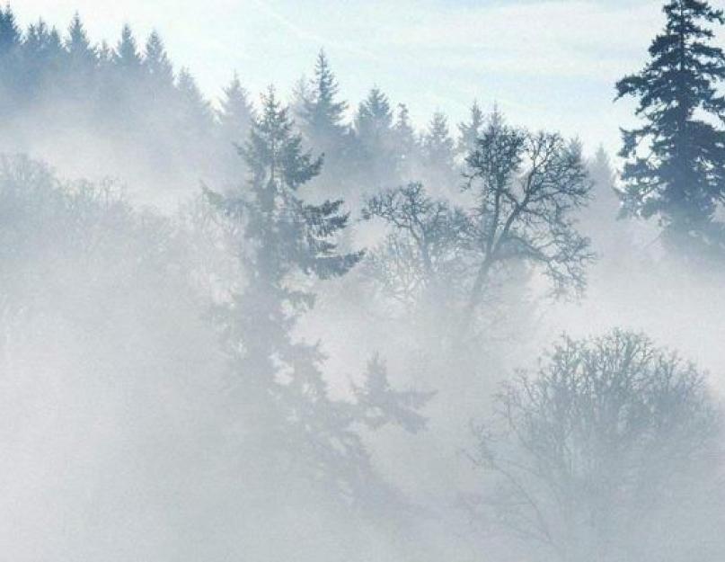 Soğuk bir atmosferik cephe getiriyor.  atmosferik cephe.  Sıcak ve soğuk cephe.  Değişen hava belirtileri