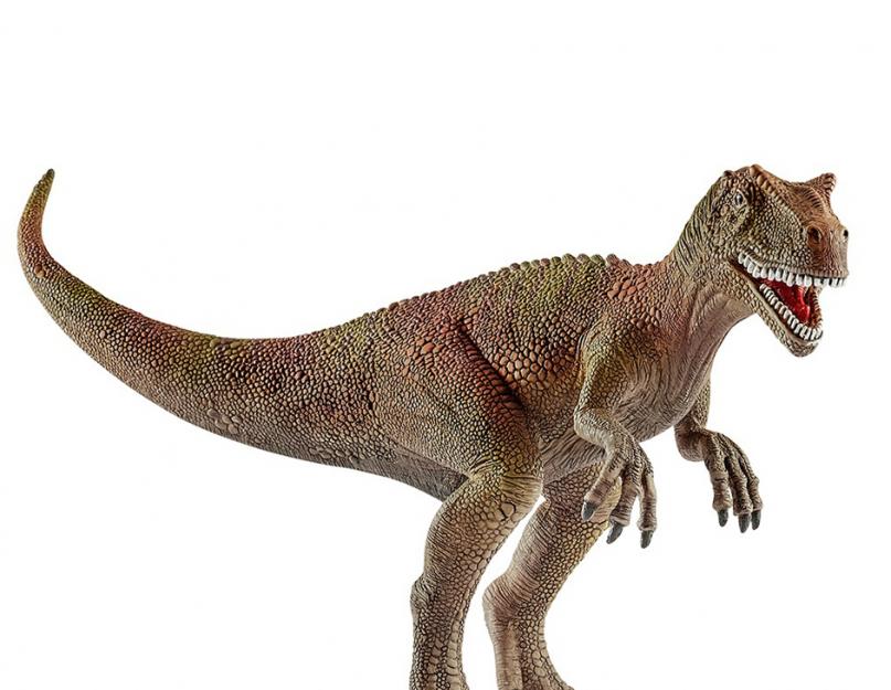 A legnagyobb húsevő dinoszaurusz.  A világ legragadozóbb dinoszauruszok.  Furcsa gyík - allosaurus