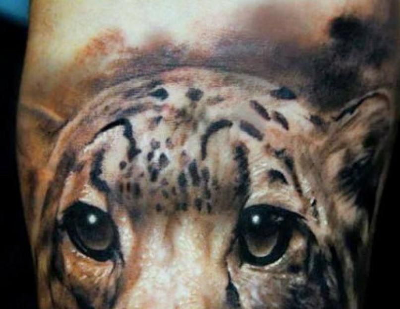 Тату леопард - значение. Татуировка в виде леопарда – значение Татуировка леопард