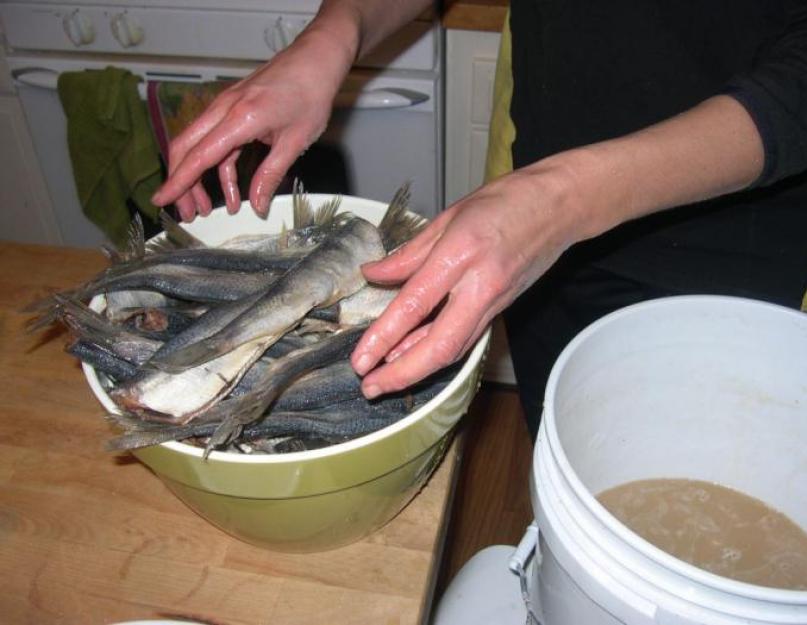 Сколько солится рыба в домашних условиях