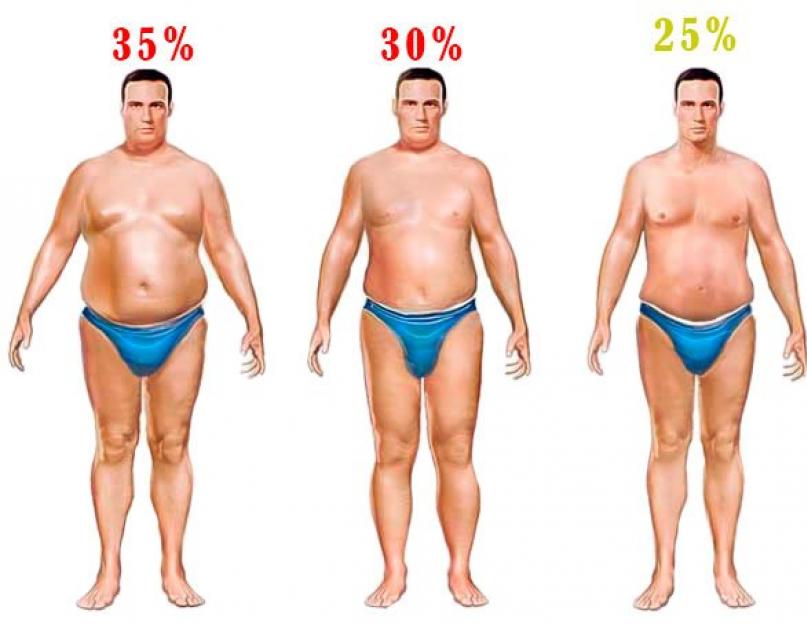 A testzsír hány százaléka tekinthető normálisnak.  Ideális zsírszázalék