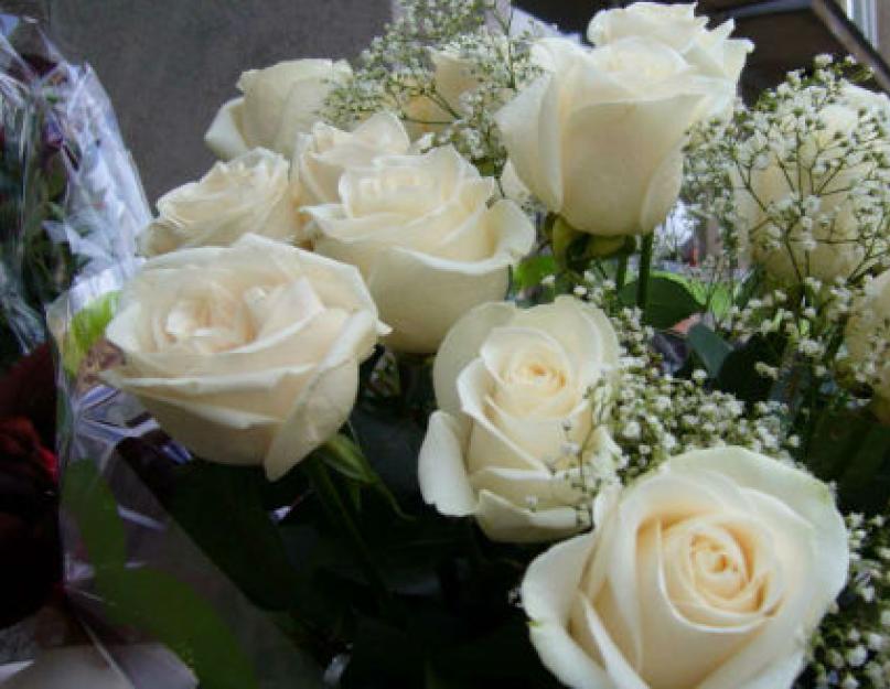 Azt álmodtam, hogy fehér rózsát adtak.  Miért álmodik zöld rózsákról?  Martyn Zadeki álomértelmezése