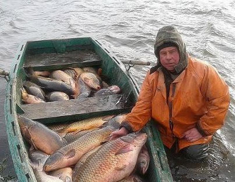 تعرف على أسماك النهر التي تحتل المرتبة الأولى.  أسماك سيبيريا ، سكان أنهار التايغا.  قيمة تذوق أسماك المياه العذبة