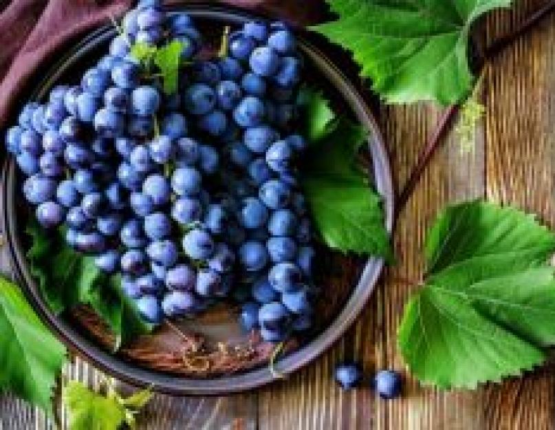 Приснился виноград – что это может значить? К чему снится виноград женщине и мужчине