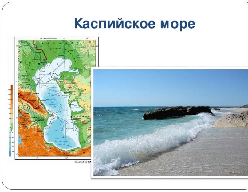 أجدد البحار في روسيا وفي العالم.  ما هو أكثر البحار ملوحة: أحمر أم ميت