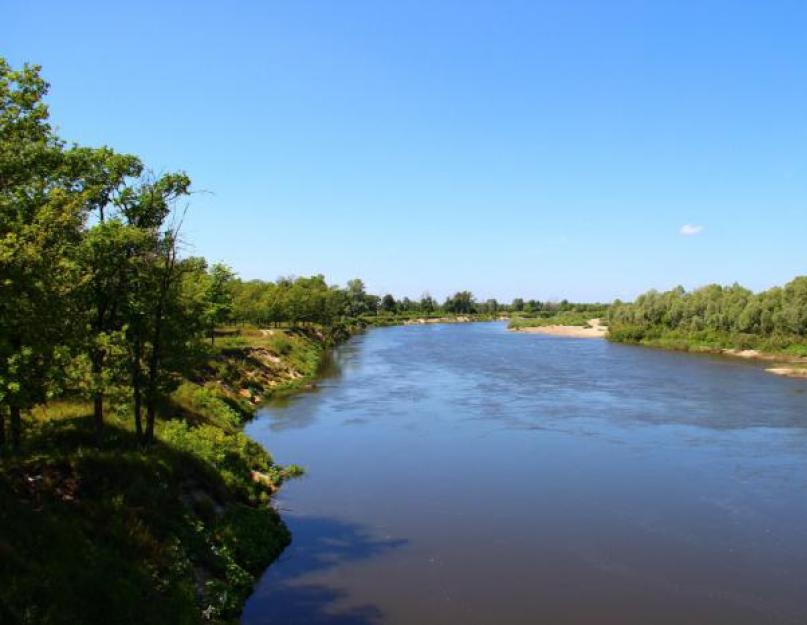 Sura - az Orosz Földrajzi Társaság Uljanovszk regionális ága.  A Sura folyó forrása, Sura csúcsok faluja, Baryshsky kerület, Uljanovszk régió