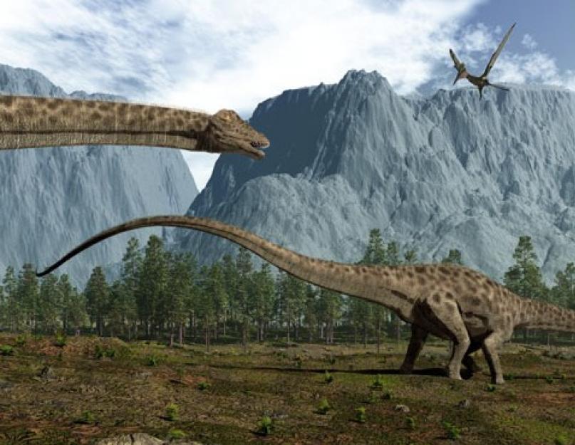 Diplodocus turi aštrius nagus.  Kaip išversti dinozauro diplodoko pavadinimą, diplodocus nuotraukos.  Dinozaurų diplodokas: maistas