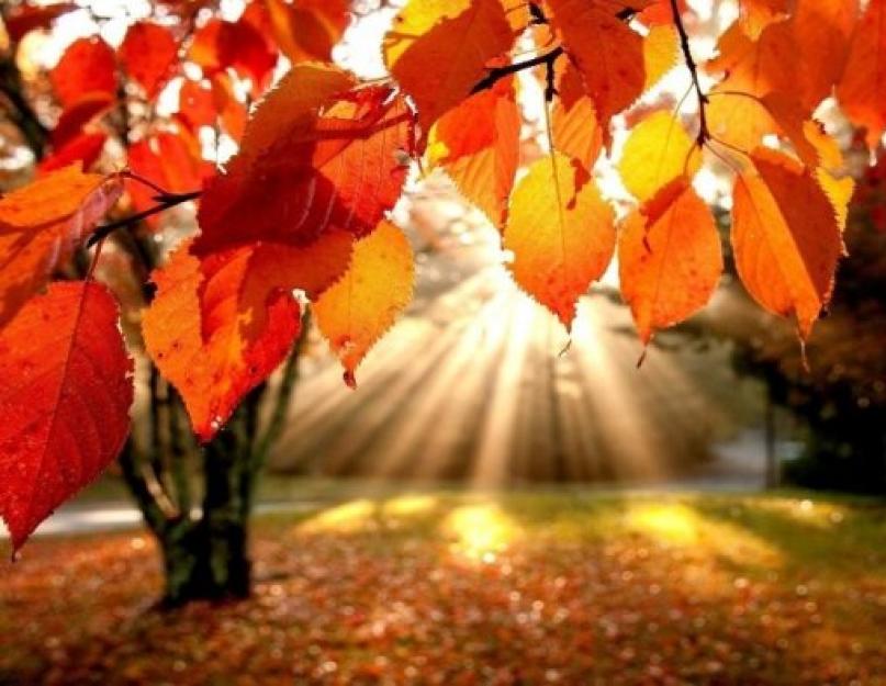Аномальний вересень: на зміну холодній осені прийде бабине літо.  Коли в татарстані закінчаться теплі дні і чи буде бабине літо Коли настає в Росії