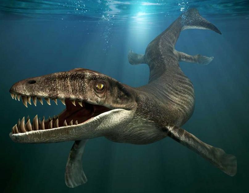 أكبر الديناصورات آكلة اللحوم في التاريخ.  أفظع الديناصورات في العالم أكبر وأقوى ديناصور