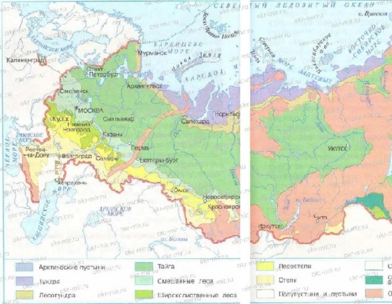 المنطقة الطبيعية لسهوب روسيا: أين تقع ، الخريطة ، المناخ ، التربة ، النباتات والحيوانات.  قاموس توضيحي لمناطق افرايم الطبيعية في السهوب