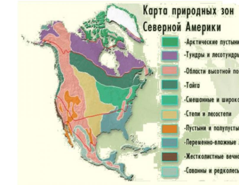 Észak-Amerika természetes övezetei táblázat.  Észak-Amerika természetes területei.  Észak-Amerika: vegyes és széles levelű erdők természetes területei