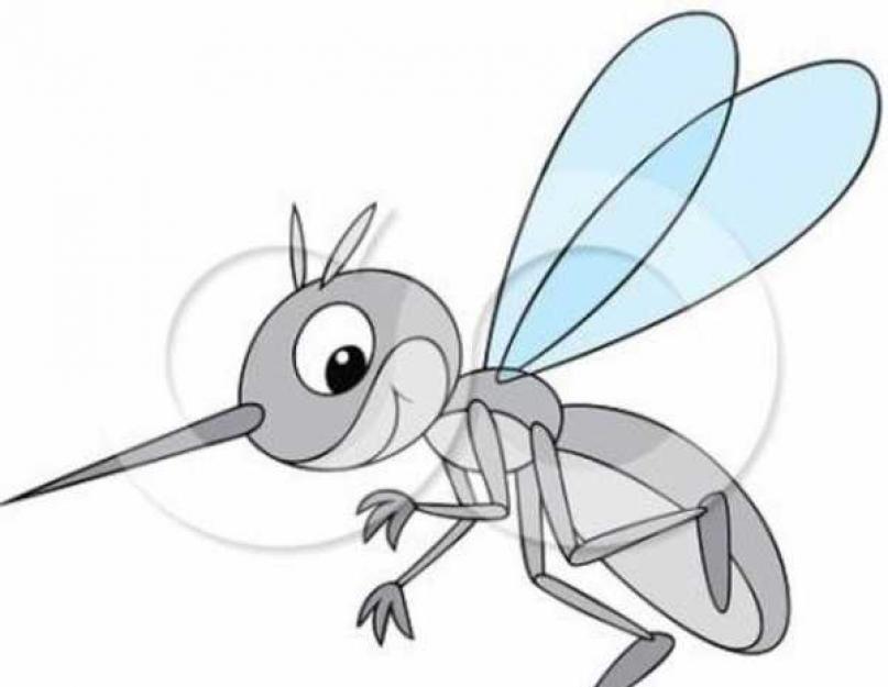 Почему комары кусают. Польза комаров в природе Комары в чем их полезность