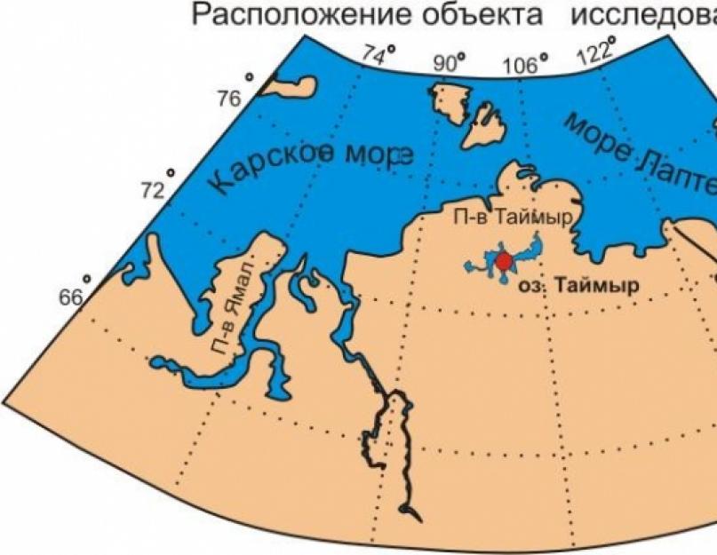Где на карте полуостров таймыр. Остров Таймыр на карте. Полуостров Таймыр расположение на карте. Полуостров Таймыр на карте.