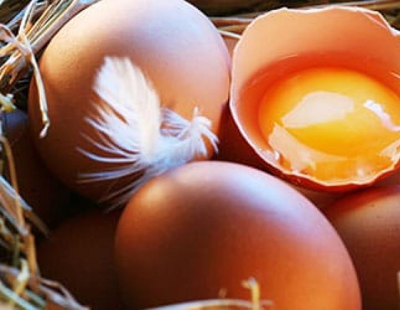 К чему снится разбитые яйца свежие. К чему снится яйцо