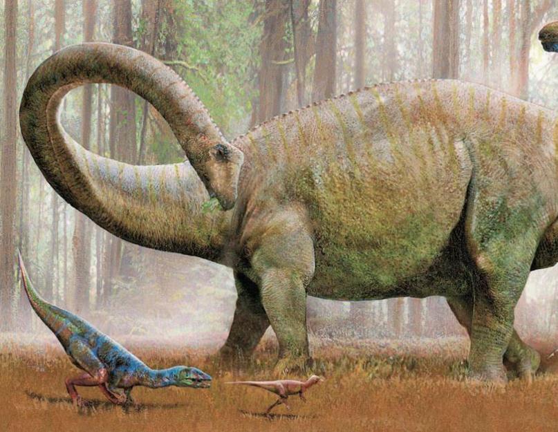 Сообщение на тему динозавр диплодок. Диплодок — гигантский травоядный динозавр. Размножение и рост