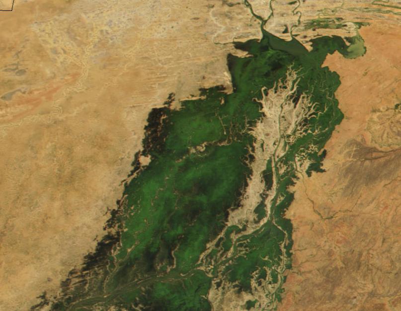 Afrika, įdomi ir visame pasaulyje žinoma upė Nigeris.  Kur prasideda Nigerio upė ir kur teka Nigerio upė Afrikoje?