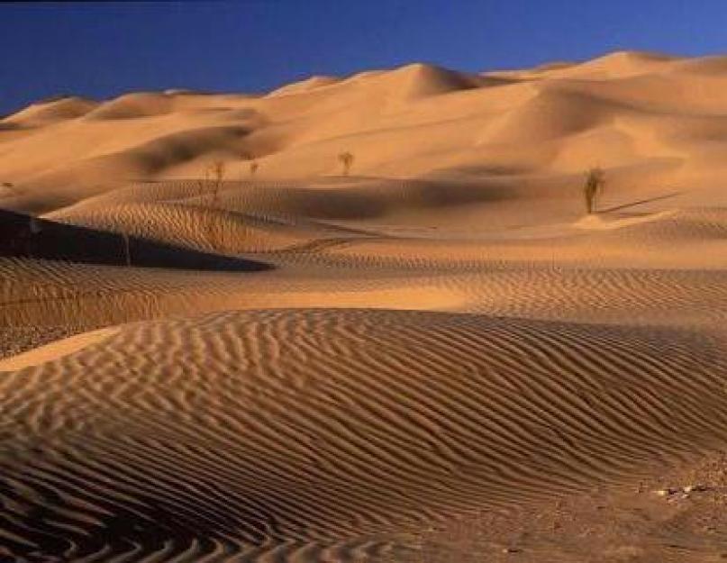 الصحراء الكبرى).  مدى الصحراء الكبرى.  الصحراء الكبرى: المناخ والحيوانات والنباتات