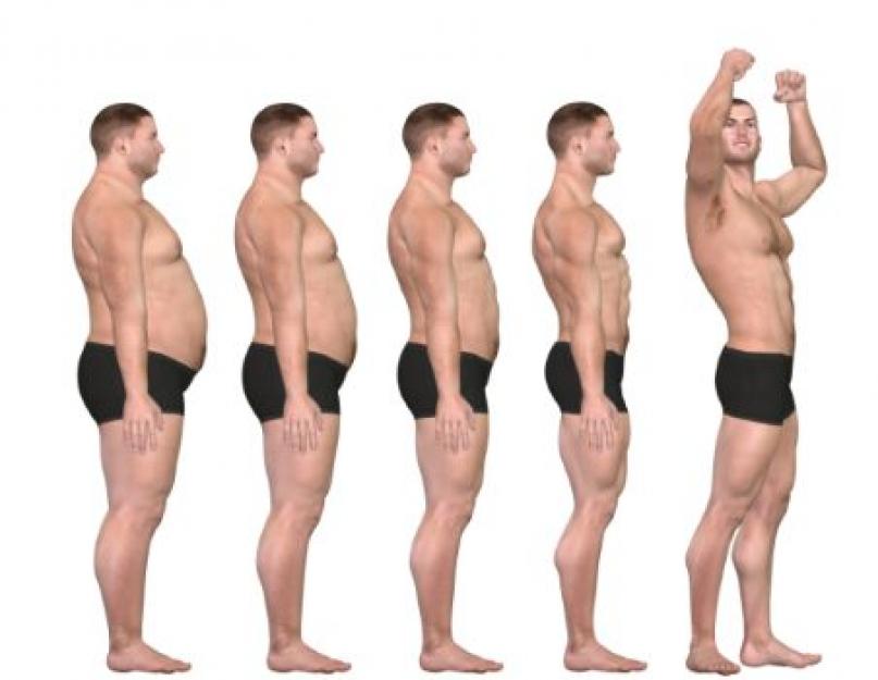 Percentuale di grasso corporeo: informazioni generali.  Tre regole di grasso: di quanto grasso ha bisogno un corpo sano
