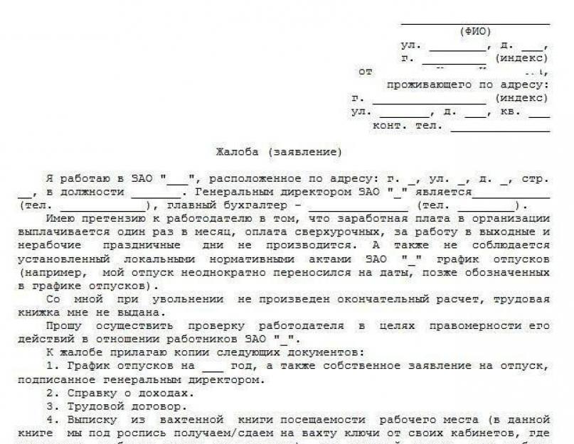 Электронная жалоба в трудовую инспекцию. Образец жалобы в Государственную инспекцию труда (трудовую инспекцию)