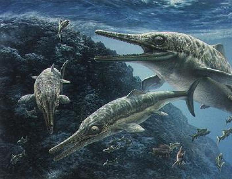 История динозавров. Самые первые динозавры на планете — названия, краткое описание и фото