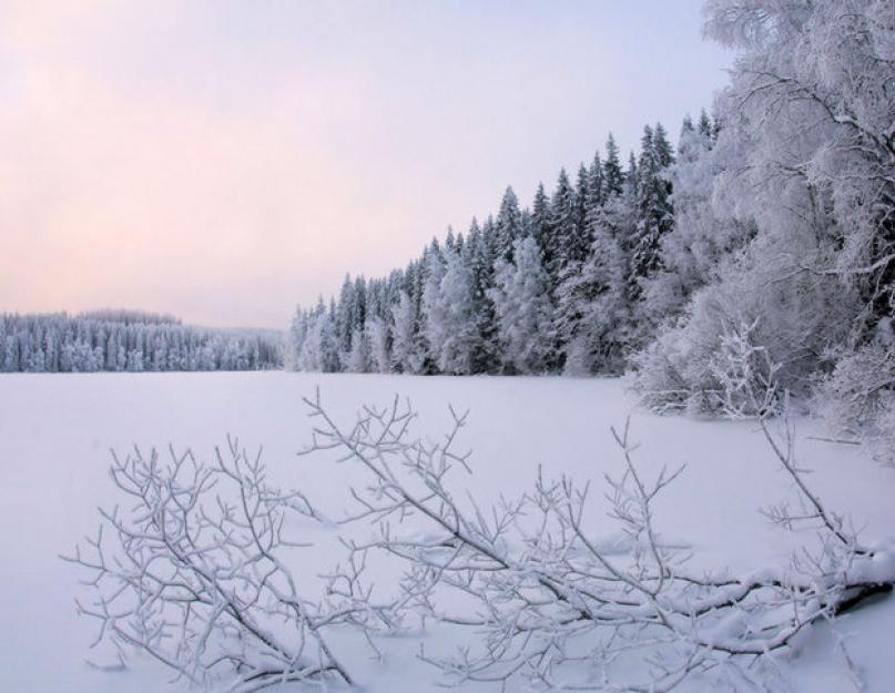  Описание зимней природы - особенности и интересные факты