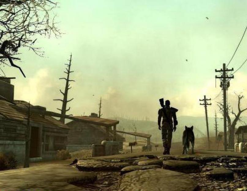 تداعيات أكواد الإصدار النهائي الجديدة من فيجاس.  Fallout New Vegas: رموز الذخيرة والأسلحة