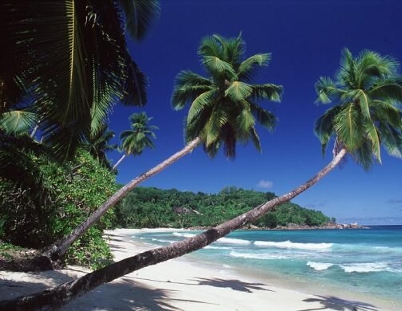 Hol lehet pihenni a Seychelle-szigeteken.  Olcsó a Seychelle-szigetek?  Könnyen!  Mikor a legjobb idő a Seychelle-szigetekre repülni - időjárás és évszakok a kikapcsolódáshoz