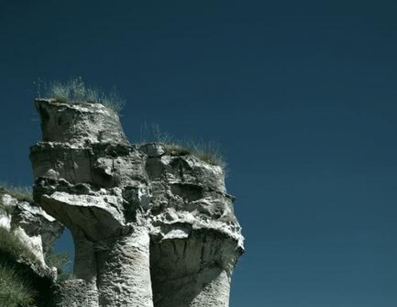 بلغاريا كيفية الحصول على الغابات الحجرية.  أطلال جبدجين - غابة حجرية.  بلغاريا.  بوبيتي كاماني - نسخ الجيولوجيين لأصل الغابة الحجرية في بلغاريا
