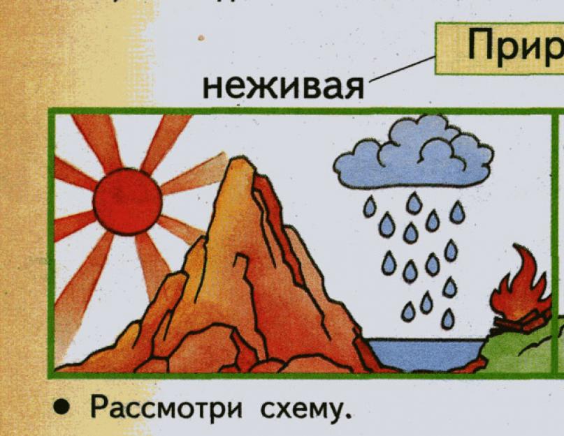 Рисунок признаки живой и неживой природы - 86 фото