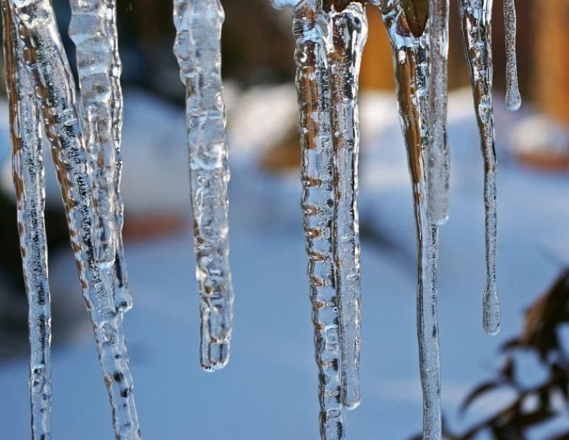 حقائق الشتاء مثيرة للاهتمام للأطفال.  عشر حقائق مثيرة للاهتمام حول الشتاء.  ظواهر الطقس ذات الطبيعة غير الحية في الشتاء