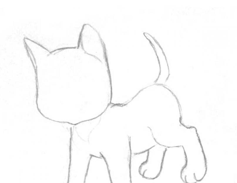 Lépésről lépésre rajz egy macska elejéről.  Hogyan rajzoljunk macskát ceruzával.  Folytatjuk a kezdeti kontúrok rajzolását