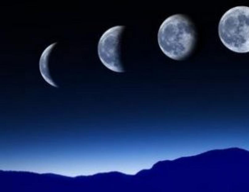 Mėnulio fazės kovo mėn.  Geriausių petunijų veislių ir hibridų atrankos istorija
